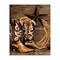 Stupell Industries Cowboy Boots Lone Star Canvas By Kim Allen